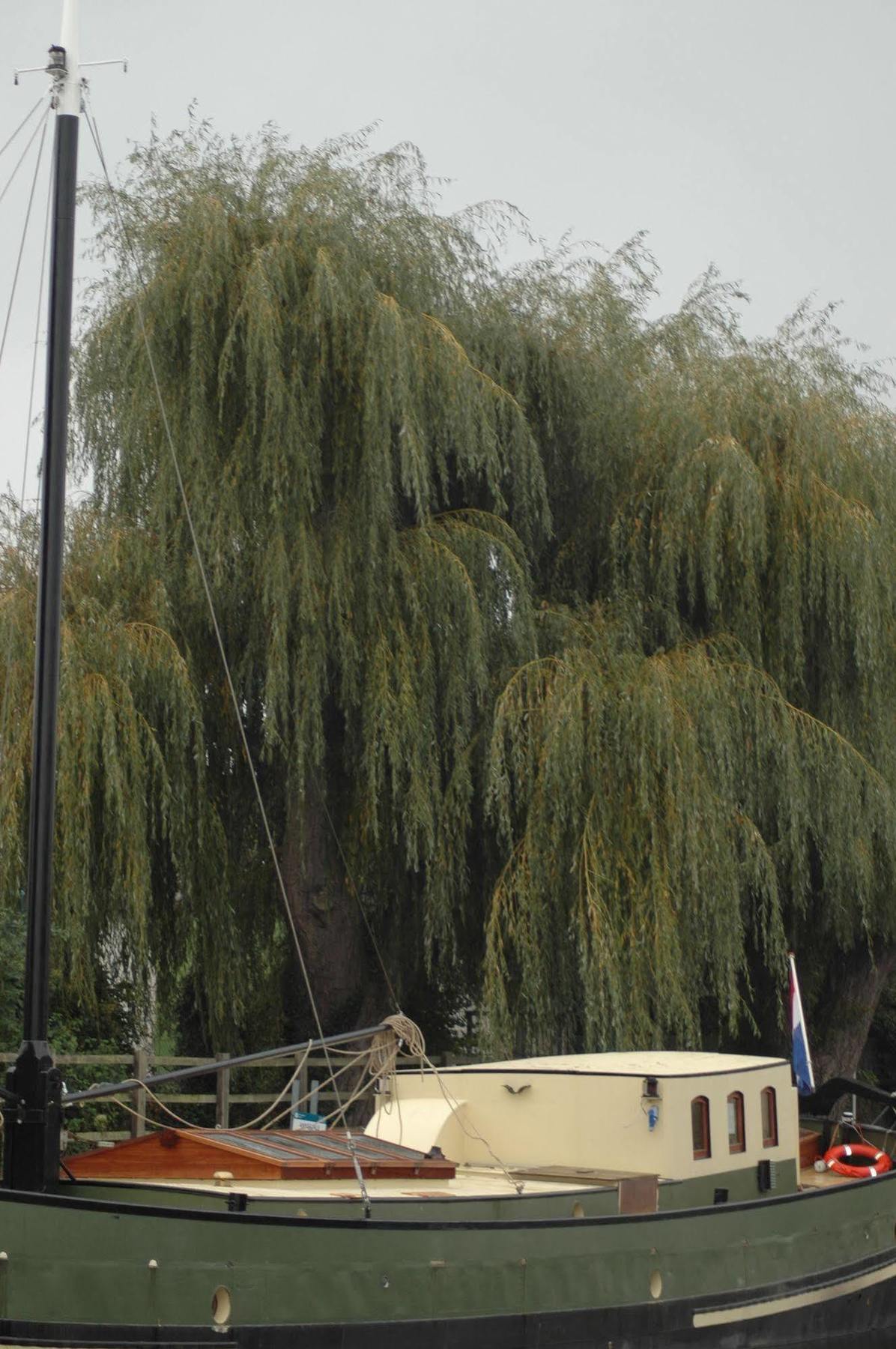 Hotel Barge Waternimf 엘리 외부 사진